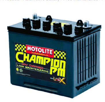 Who Sells Champion Batteries?