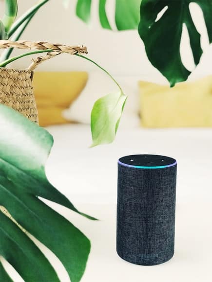 Echo smart speaker