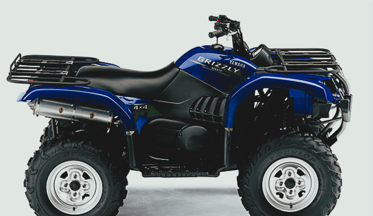 Grizzly 660 Battery: Everything You Need to Know