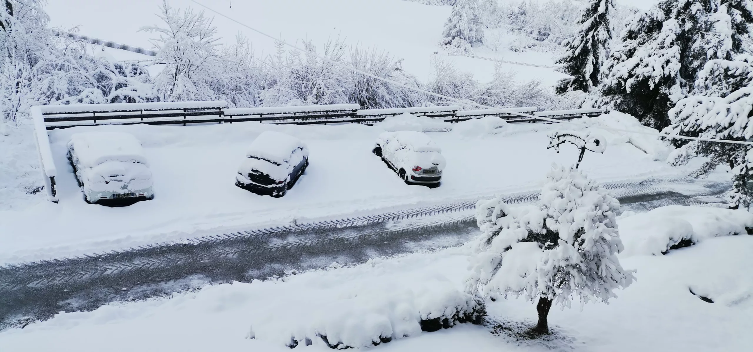Why Do Car Batteries Die in the Cold?