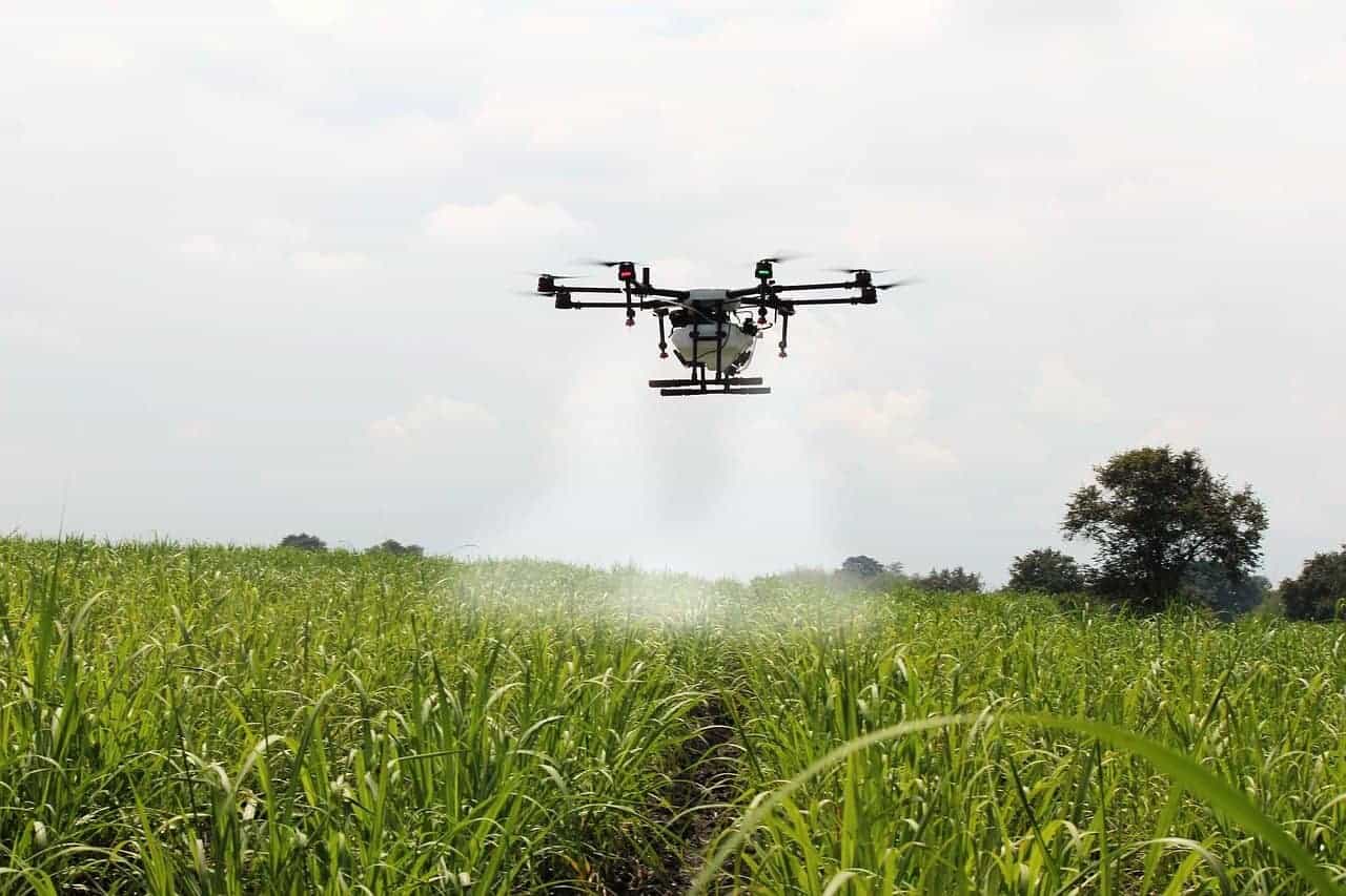 drone flying over sugar cane