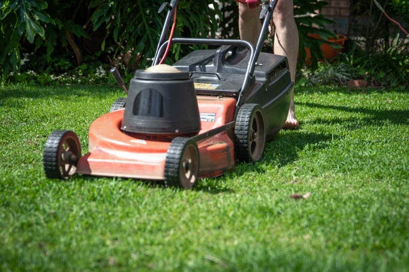 lawn mower