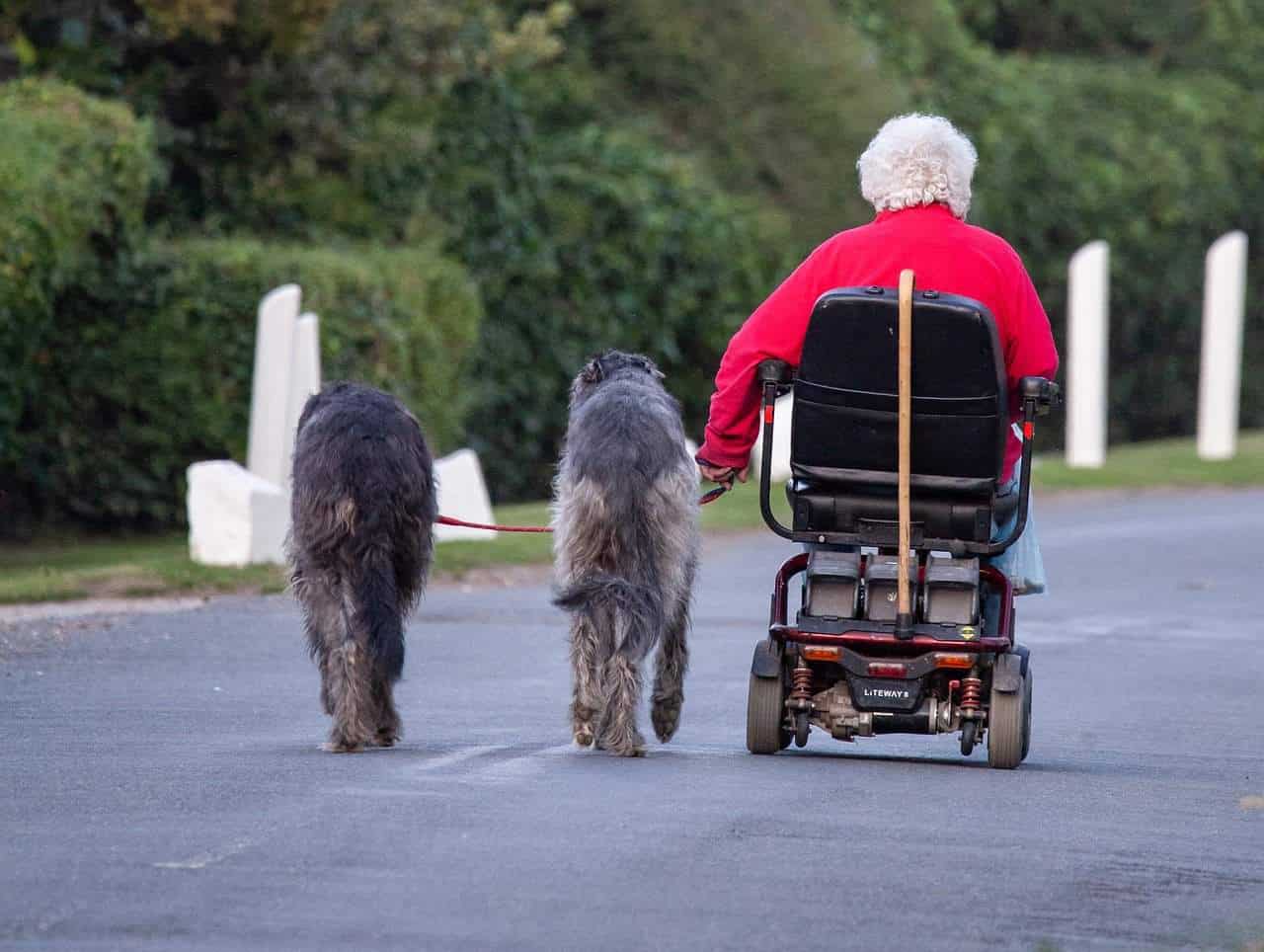 mobility scooter