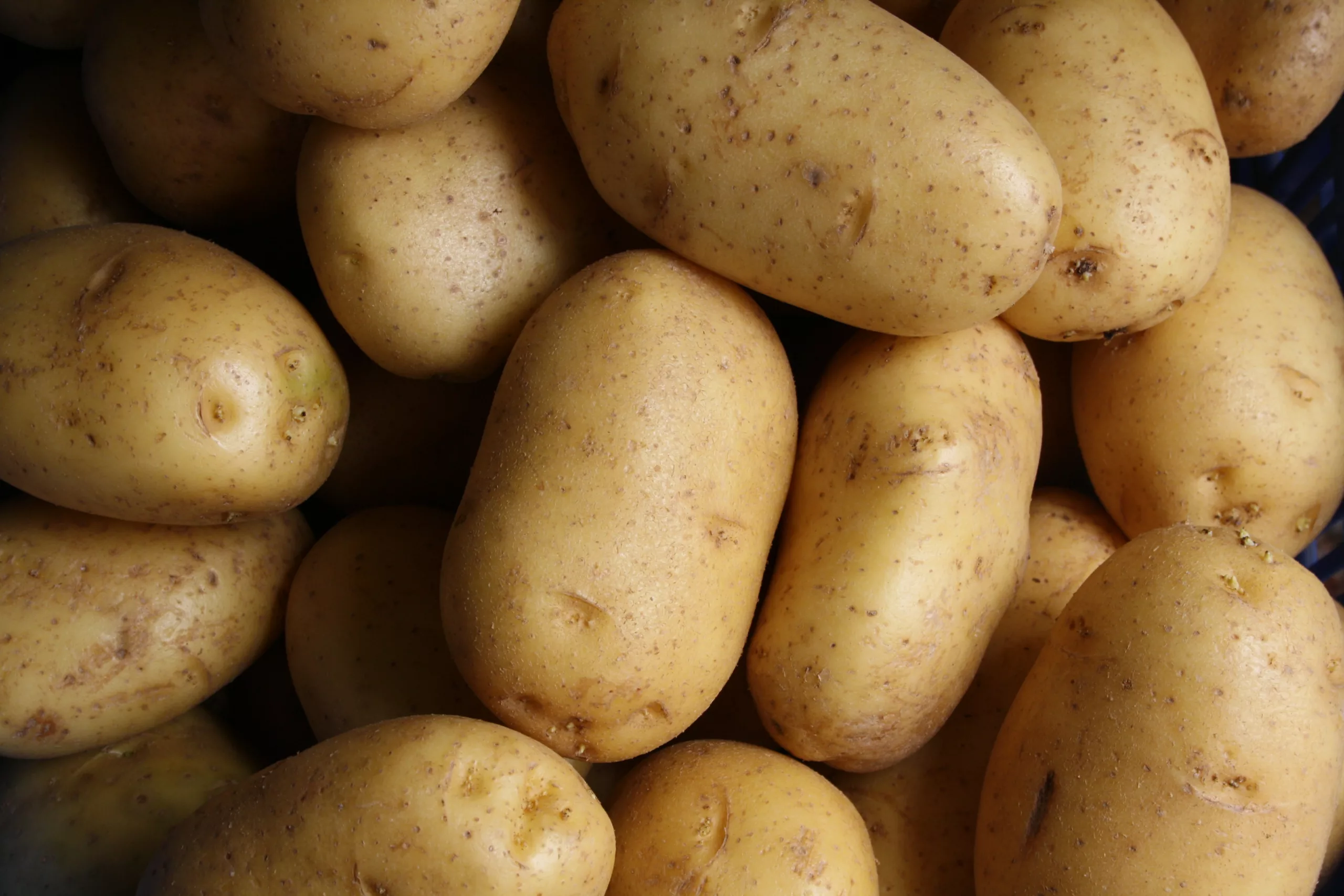 How Does a Potato Battery Produce Electricity?